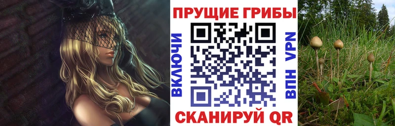 мориарти официальный сайт Алексеевка Галлюциногенные грибы ЛСД