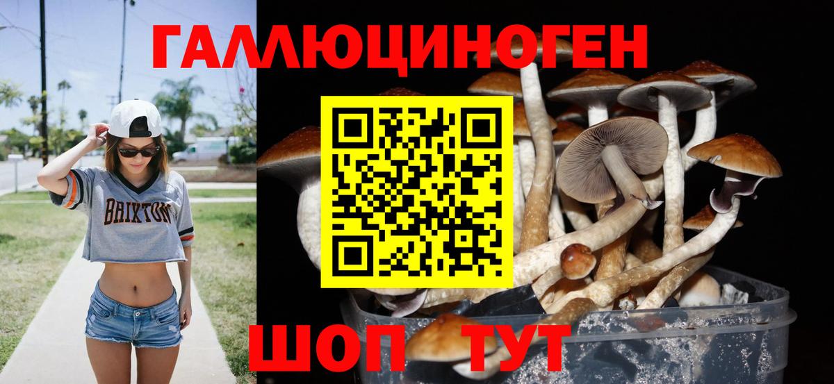 Галлюциногенные грибы Magic Shrooms  Вход с VPN  Галлюциногенные грибы Magic Shrooms  Алексеевка 